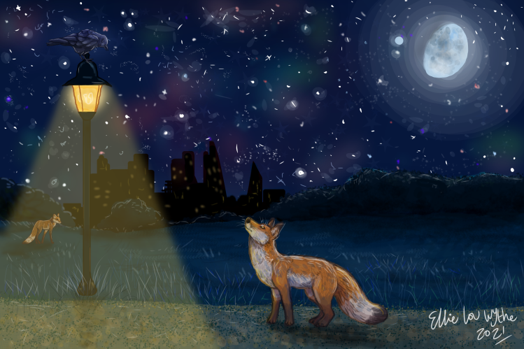 Digital painting. Night scene: a shielded amber street lamp pointed down, with a fox looking up at it and a raven on top of the post. Background shows another fox with dark open field, dark city skyline and a bright night sky with semi-full moon and stars and galaxies.